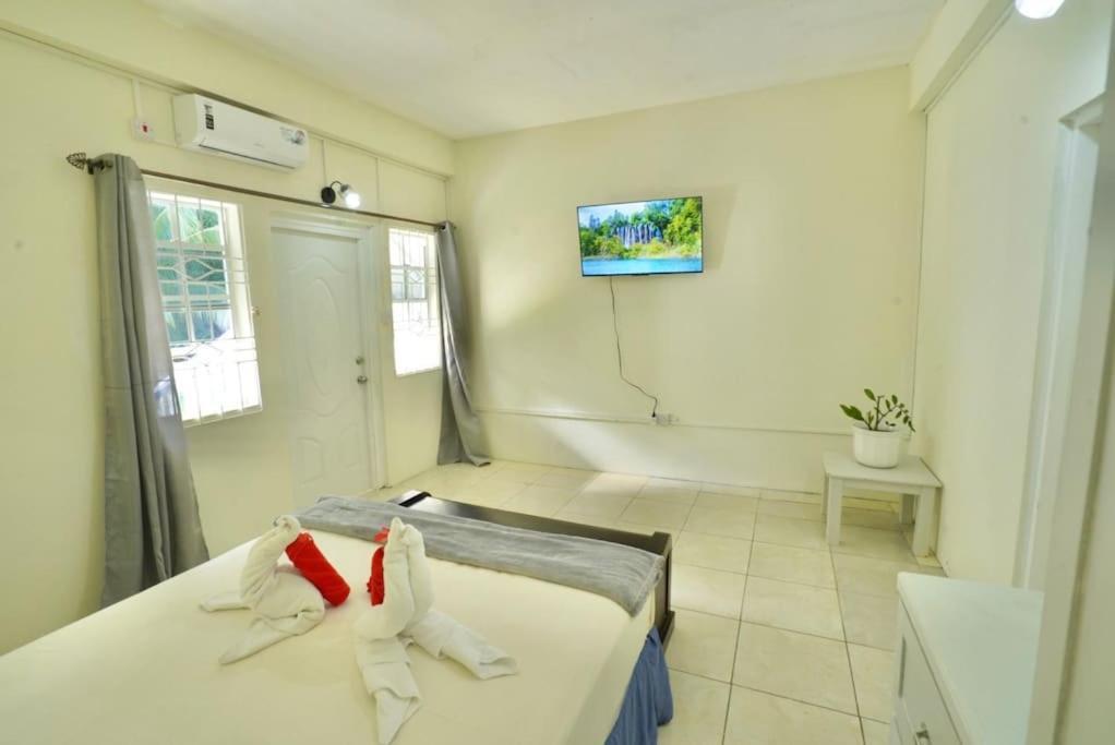 Apartamento Nature'S Paradise Kingstown Exterior foto